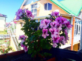 Guest house on Kamyshovaya 12 a